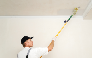 different types of interior paint