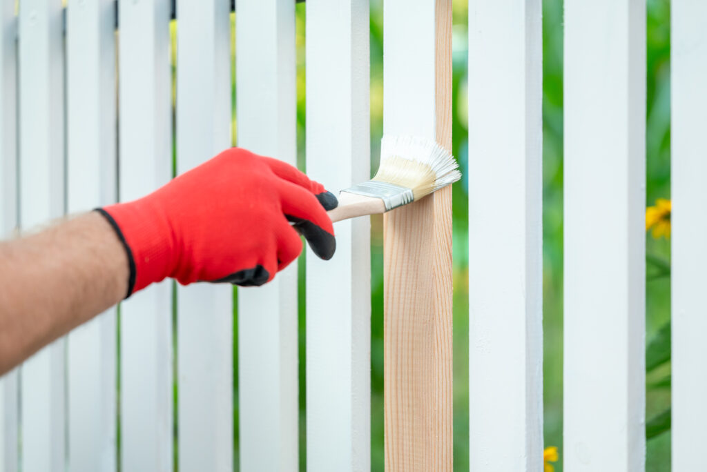 A new wooden fence being stained plank by plank in a front yard